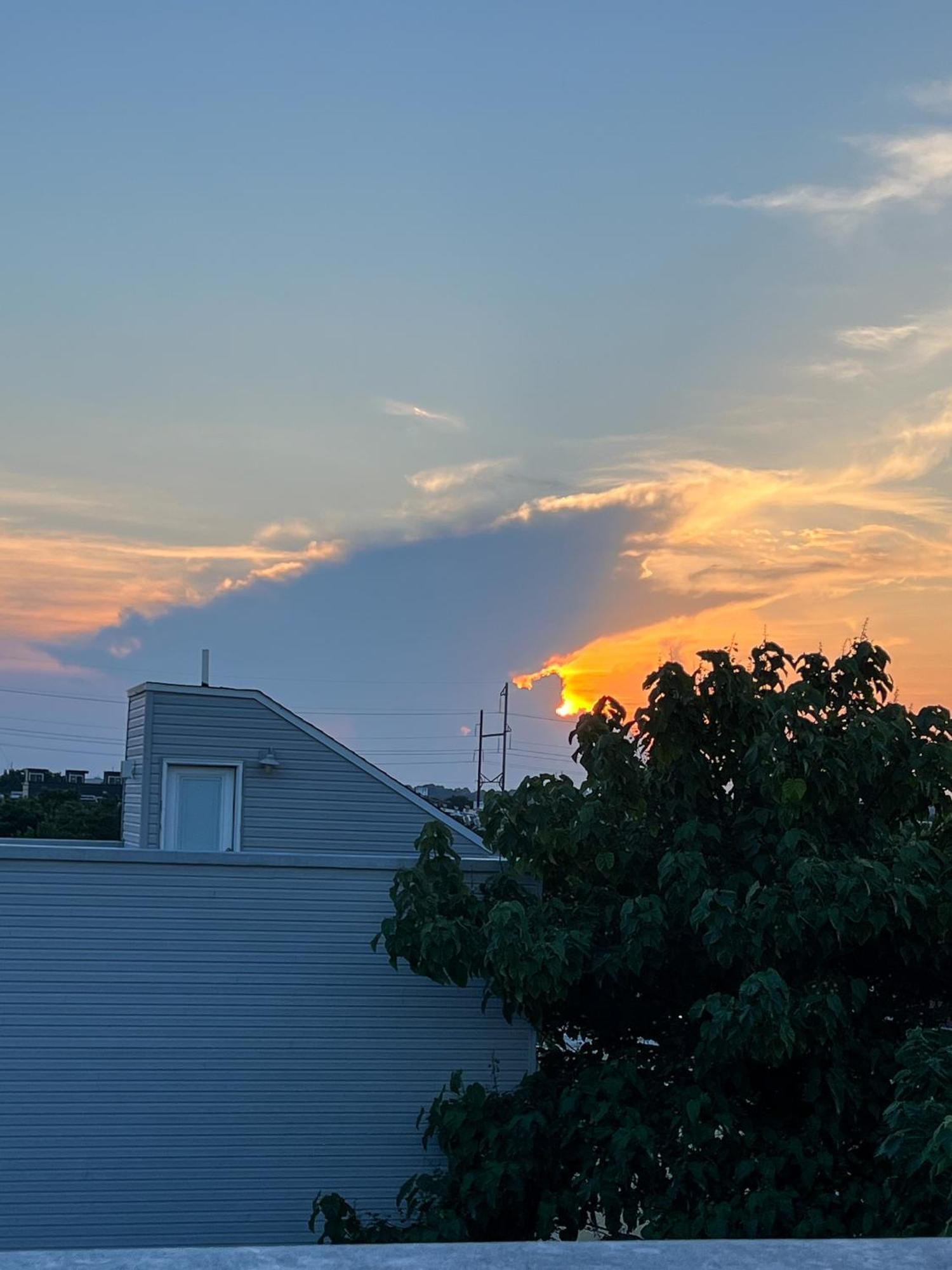 Peaceful Zen Getaway In The City Philadelphie Extérieur photo