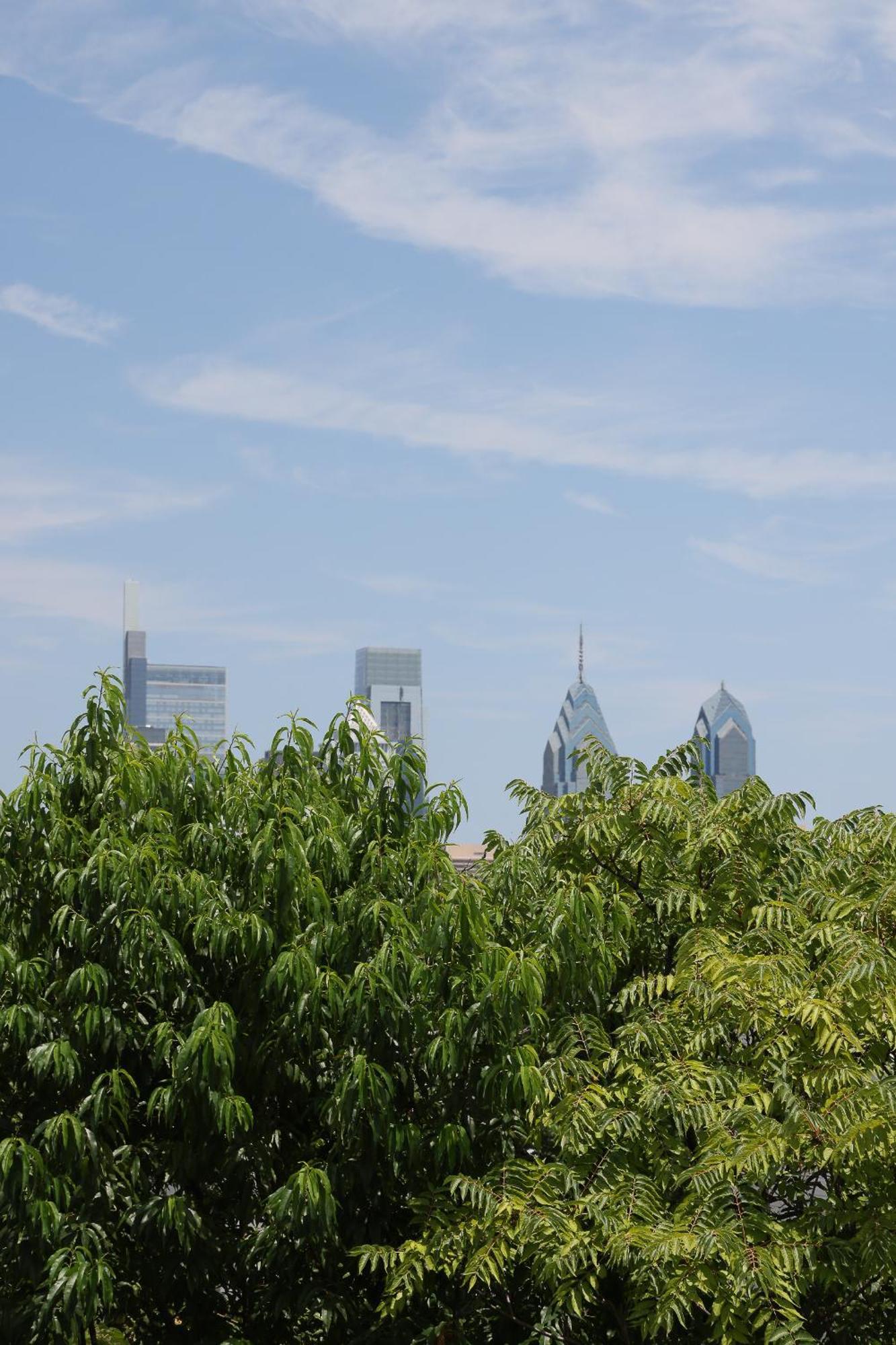 Peaceful Zen Getaway In The City Philadelphie Extérieur photo